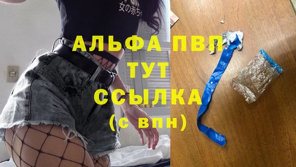 прущий лед Ладушкин
