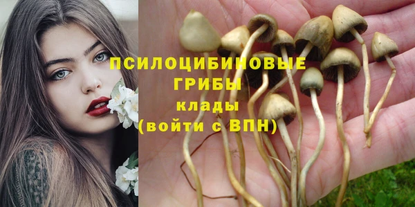 амф Лагань