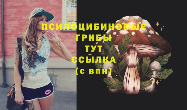 прущий лед Ладушкин