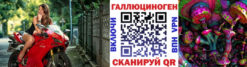 Псилоцибиновые грибы Magic Shrooms  Купить где  Губкинский 