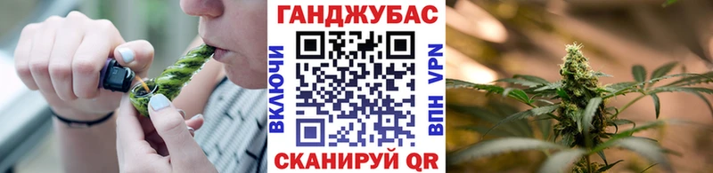 Купить где  Губкинский  Шишки марихуана план 